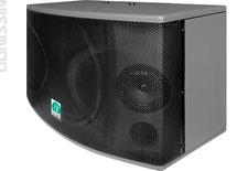 Loa karaoke chuyên nghiệp CS-10 công suất 720 Watt (Cặp)
