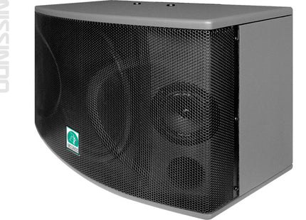 Loa karaoke chuyên nghiệp CS-10 công suất 720 Watt (Cặp)
