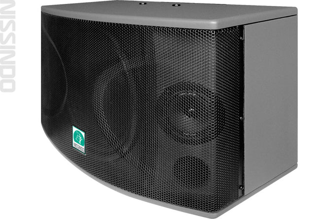 CS-10 Professional 720 Watts Vocal Karaoke Speakers (Pair)