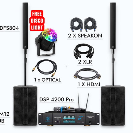 M12 DFS 804 (Pair) + SingsoundTek DSP-4200 4000 Watts Professional Complete Karaoke System