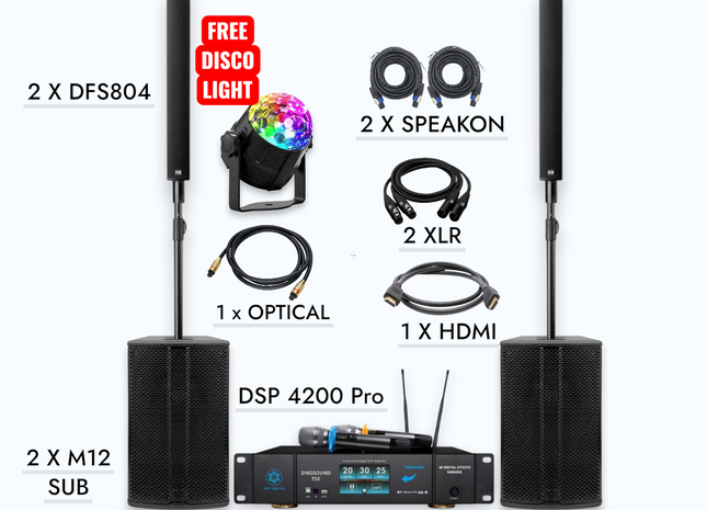 M12 DFS 804 (Pair) + SingsoundTek DSP-4200 Digital Mixer