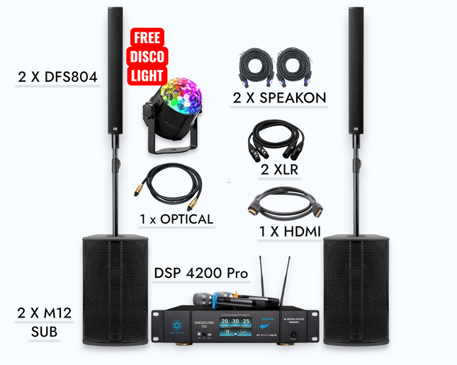 M12 DFS 804 (Pair) + SingsoundTek DSP-4200 4000 Watts Professional Complete Karaoke System