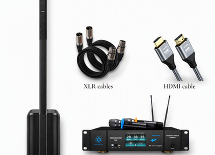 2026 Professional Karaoke System Bose L1 Pro 8 and Singsound Tek DSP 4200