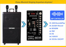 Singtronic BT-1500DSP