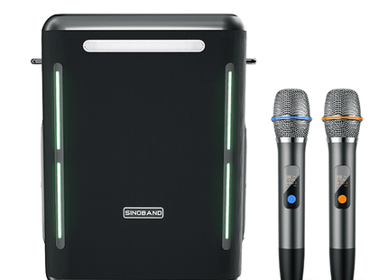 XDOBO SINOBAND party 1981 BT speaker 300W high power subwoofer conference outdoor karaoke sound