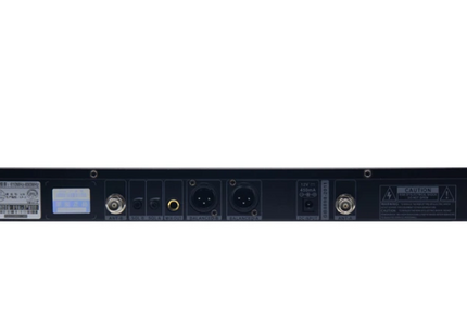 UR-200 Professional 2 Channel UHF Wireless System Microphone Set