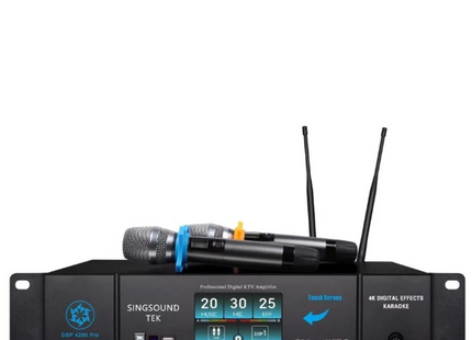2026 Professional Karaoke System Bose L1 Pro 8 and Singsound Tek DSP 4200