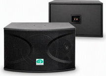 Loa karaoke chuyên nghiệp CS-10 công suất 720 Watt (Cặp)