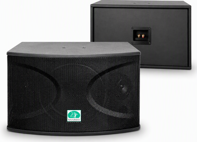 CS-10 Professional 720 Watts Vocal Karaoke Speakers (Pair)