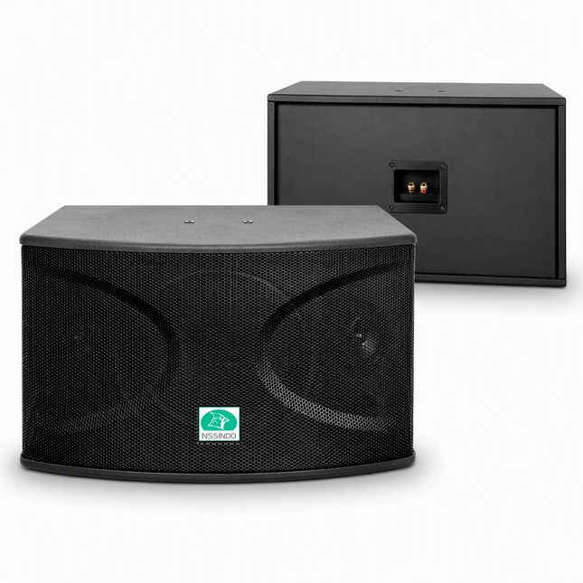 CS-10 Professional 720 Watts Vocal Karaoke Speakers (Pair)